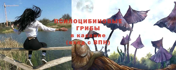 гидропоника Вяземский